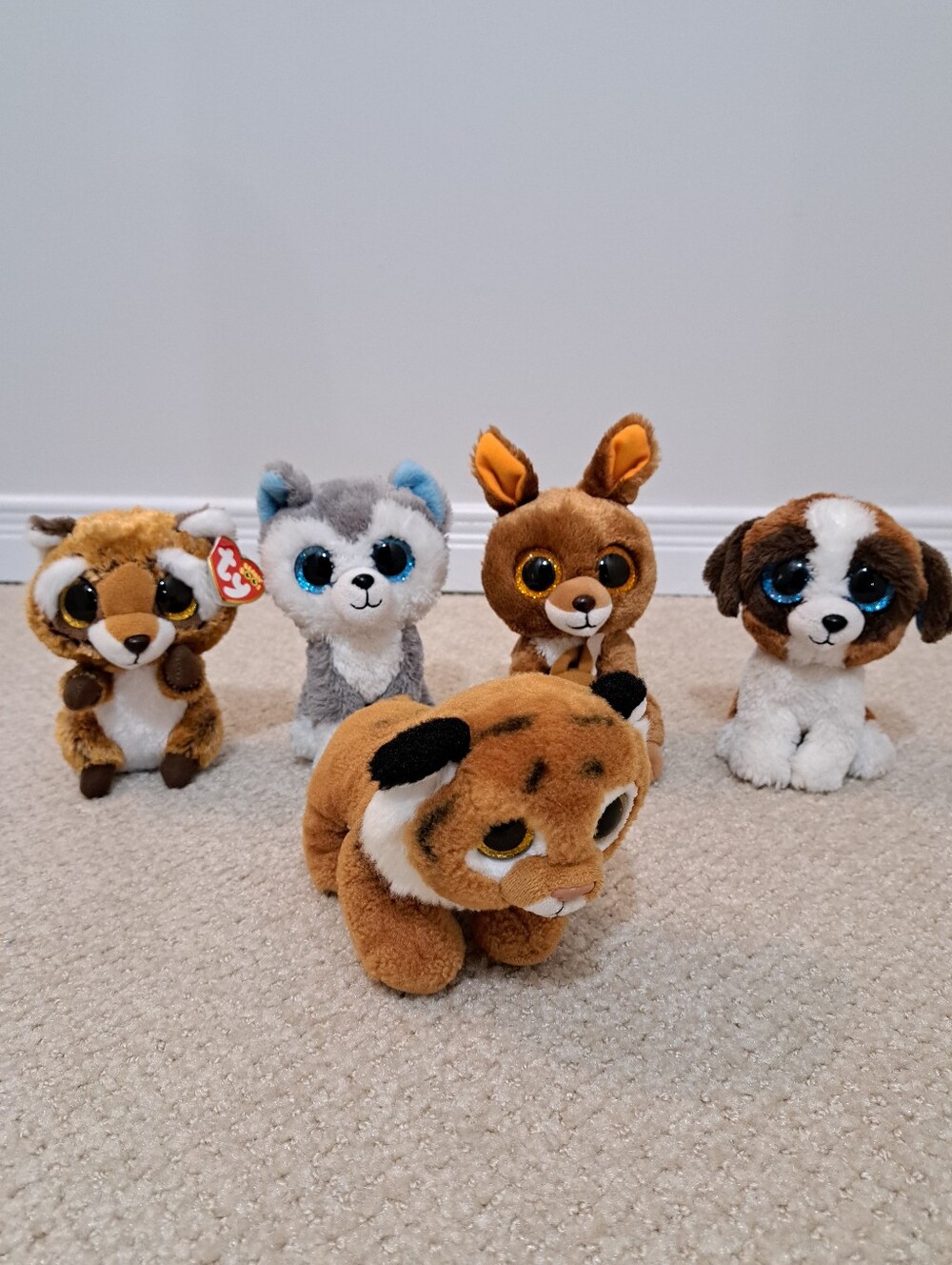 Ty Beanie Boos Plush Stuffed Animal Bundle Set of 5 Duke Rusty Slush Tiggs Kippe